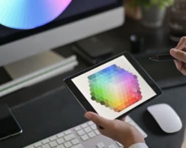 person looking at a color palette
